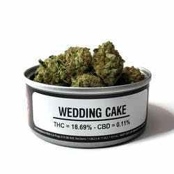 wedding cake strain yield